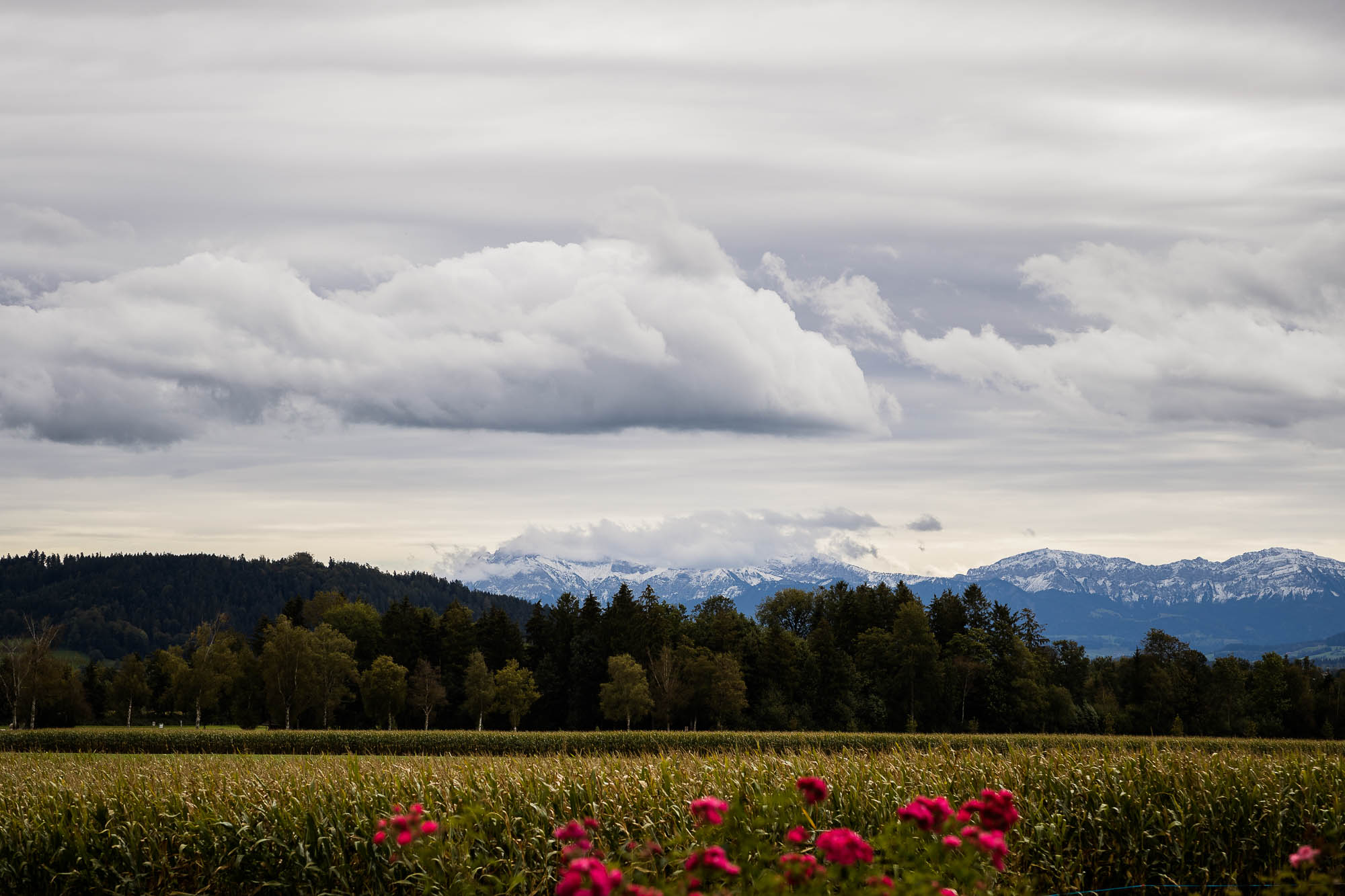 Export x3 1DX28093 Hochzeit 2020 Claudia & Thomas